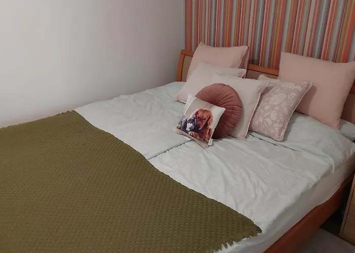 Dizike Pet-friendly 4*