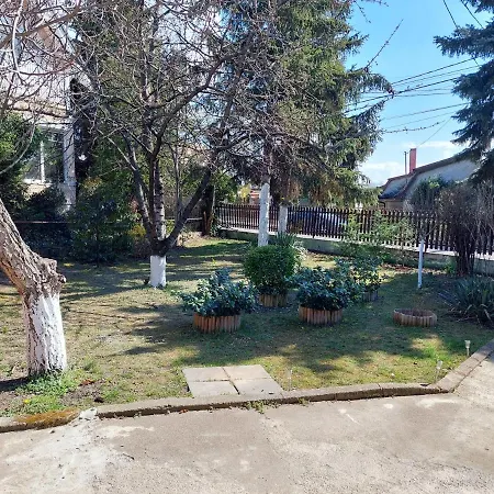 Dizike Pet-friendly Guest house Budapest