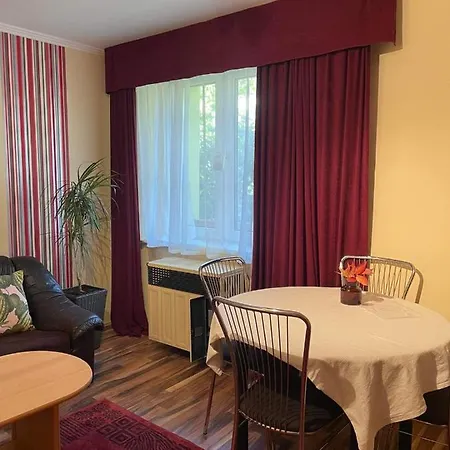 Dizike Pet-friendly *