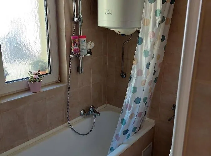 Pensión Dizike Pet-friendly 4*